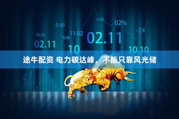 途牛配资 电力碳达峰,不能只靠风光储