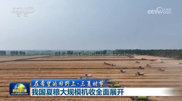 叁鑫策略 我国夏粮大规模机收全面展开