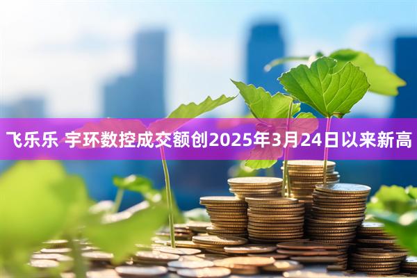 飞乐乐 宇环数控成交额创2025年3月24日以来新高