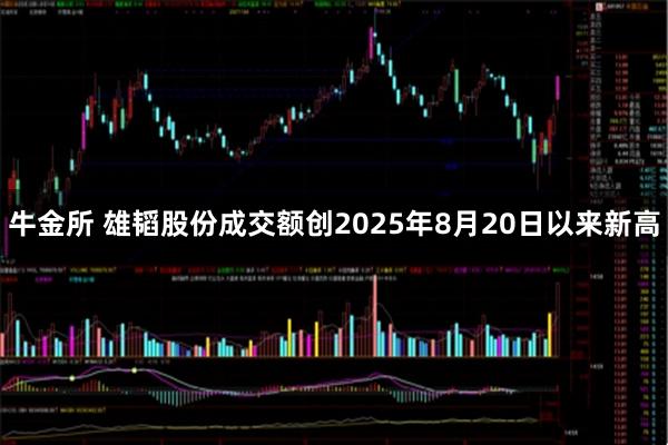 牛金所 雄韬股份成交额创2025年8月20日以来新高